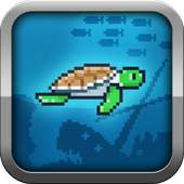 Swimmy Turtle