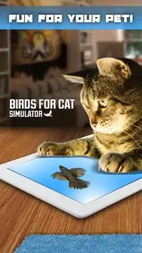 Birds para Cat Simulator Screen Shot 1