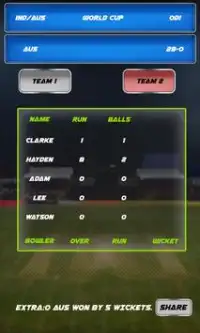 Cricket Scorecard 2015 Screen Shot 4
