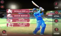Women's Cricket World Cup 2017 Screen Shot 10