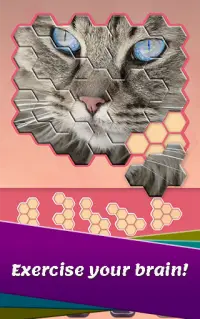Block hexa puzzle - Animals Jigsaw Screen Shot 2
