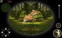 Sniper Hunting Time-Wild World Screen Shot 1