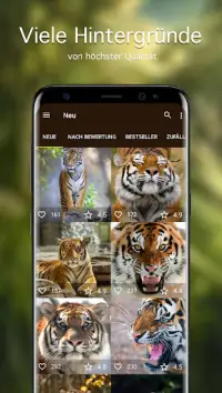 Hintergrundbilder mit Tiger 4K Screen Shot 1