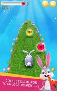 Bunny Run - Bunny Rabbit Game Screen Shot 4