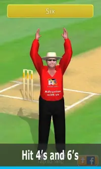 Smashing Cricket: cricket game Screen Shot 1