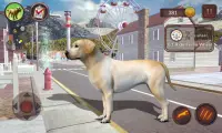 Labrador Simulator Screen Shot 4