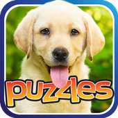 Gratis Dog Puzzle - Fun Juego