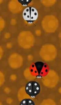 Ladybird Piano Tiles Screen Shot 3