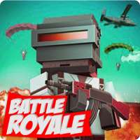Battle Royal Craft Survival 3D