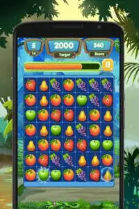 Fruit Link Deluxe - Match 3 Game Screen Shot 4