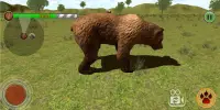 Urso caça mania Screen Shot 0