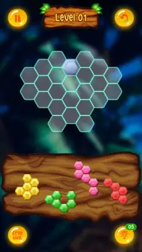 Block Puzzle - Hexa! Block Puzzle Screen Shot 3