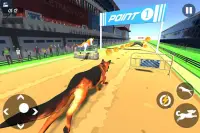Dog Race Game 2020: Animal New Games Simulator Screen Shot 3
