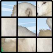 Animal Jigsaw Puzzle -Free-
