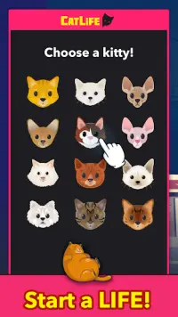 CatLife - BitLife Cat Game Screen Shot 0