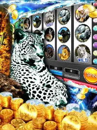 slot Snow Leopard - Spin Screen Shot 0
