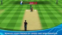 Cricket Multiplayer Screen Shot 1