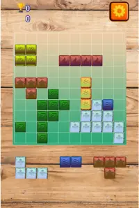 Block-puzzle pro Screen Shot 4