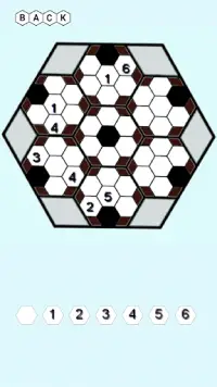 Hexa Sudoku Screen Shot 1