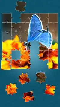 Schmetterling Puzzle-Spiel Screen Shot 9