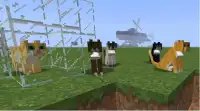 Cat Minecraft:PE Screen Shot 1