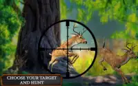 Jungle Animal Sniper Hunting Screen Shot 1