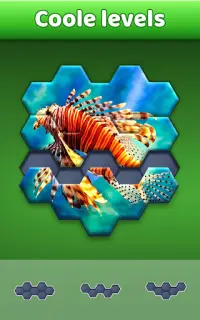 Hexa Jigsaw Puzzle ® Screen Shot 1