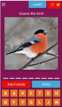 Birds Quiz - Learn All Birds! Screen Shot 3