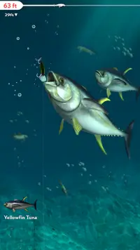 Rapala Fishing - Daily Catch Screen Shot 4