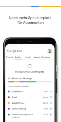 Google One Screen Shot 2