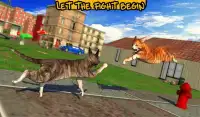 Street Cat Sim 2016 Screen Shot 11