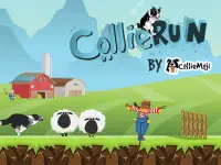 CollieRun - Free Dog game agility training border Screen Shot 4