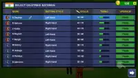 World Cricket Lite Screen Shot 5