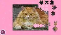 Cats - Jigsaw Puzzles Screen Shot 7
