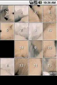iSlider Bear Slide Puzzles Screen Shot 0