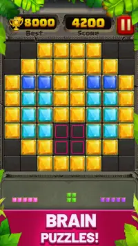 Block Puzzle Guardian Screen Shot 1