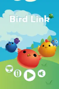 Bird Link Screen Shot 5