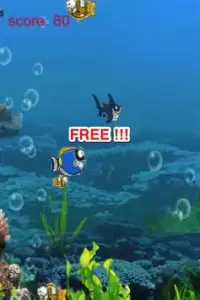 Cartoon Sea World: Hungry Fish Screen Shot 2