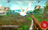 Real Flying Birds Hunting 3D Screen Shot 1