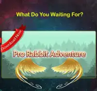 Pro Rabbit Adventure Screen Shot 4
