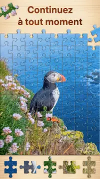 Puzzles - jeux de puzzle Screen Shot 3