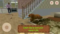 Family Pet Life: Dog Simulator Game Screen Shot 4
