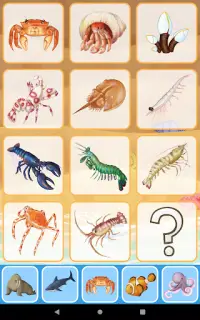 Sea Animals for toddler Babies cards Animal sounds Screen Shot 12