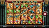 Casino Free Slot Game - CAT QUEEN Screen Shot 2