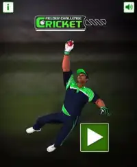 Cricket Fielder Challenge Screen Shot 0