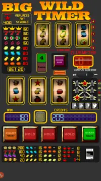 Big Wild Timer Slot Machine - Free Slots Screen Shot 4