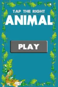 Tap The Right Animal Games Screen Shot 0