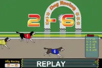 Dog Racing Screen Shot 5