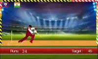 World T20 Cricket 2016 Screen Shot 5