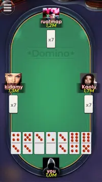 Domino Screen Shot 4